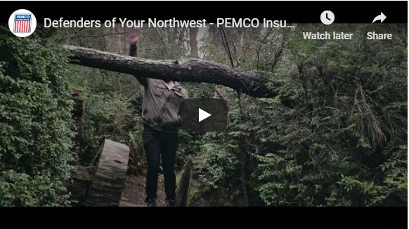 PEMCO’s New Brand Video Come Out!