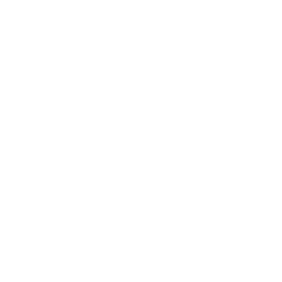 car insurance